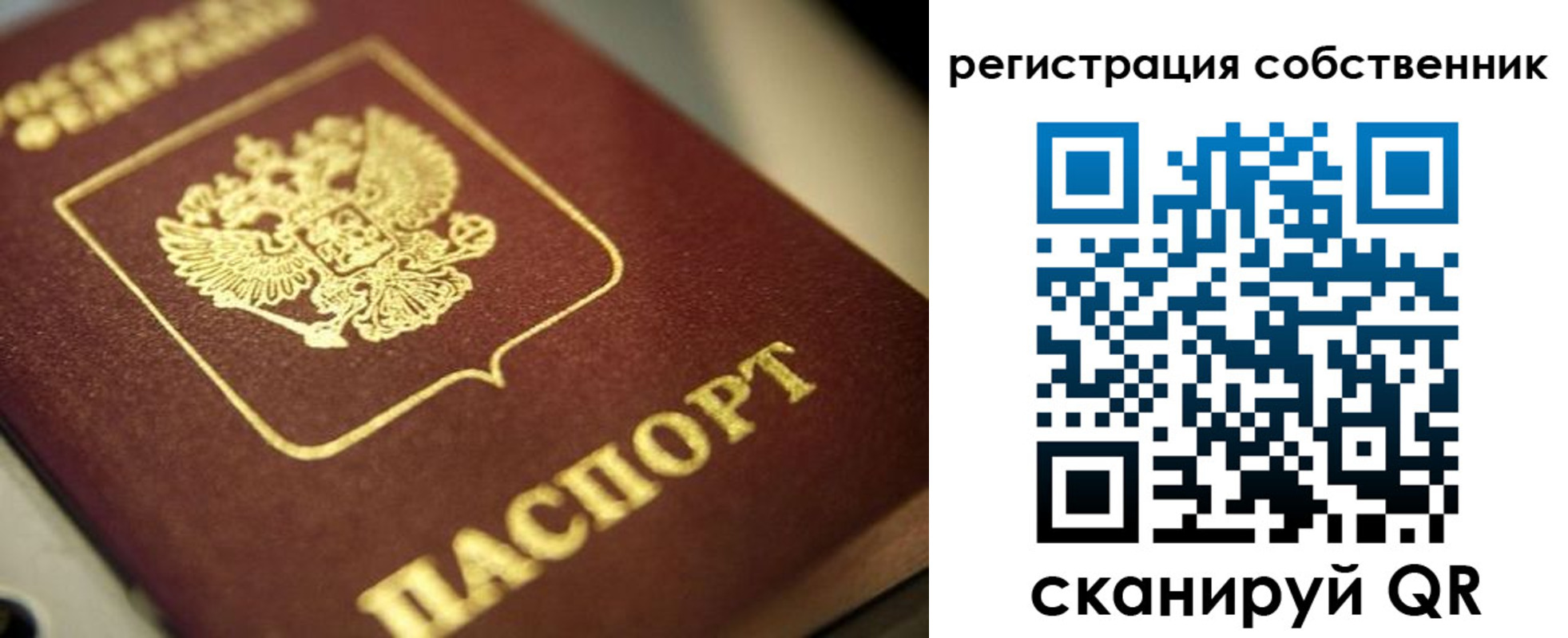 прописка в Берёзовском
